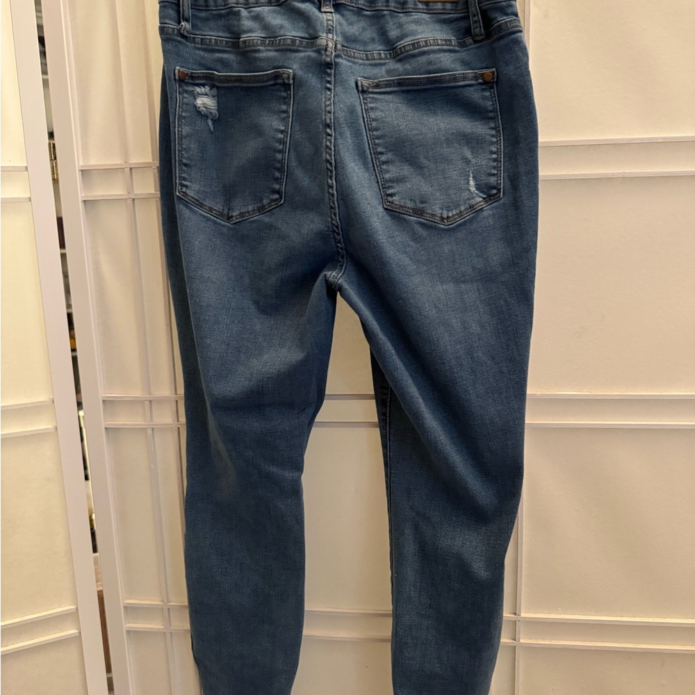 Judy Blues DANDELION EMBROIDERED HIGH RISE SKINNY Jeans - Picture 12 of 16